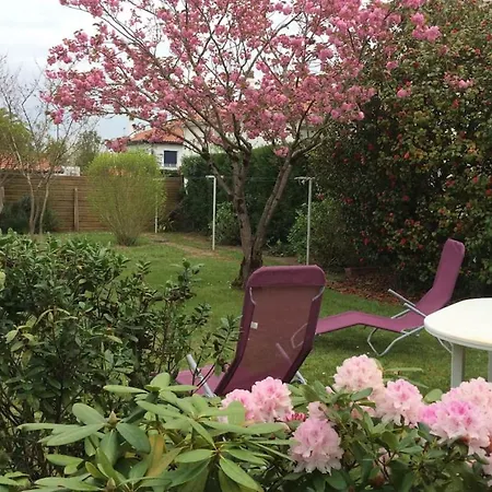 Feriehus Guestready - House With South Facing Garden
